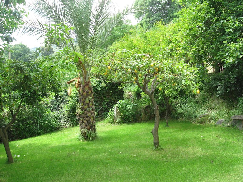 Le Roverelle Ilbono Ngoại thất bức ảnh